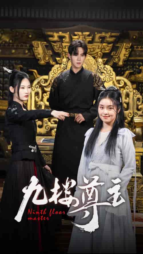 九楼尊主（88集）-初遇资源网