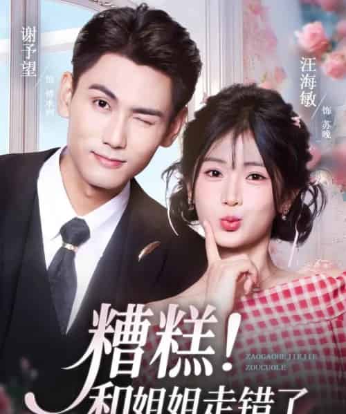 糟糕！和姐姐走错了（124集全）谢予望＆汪海敏-初遇资源网