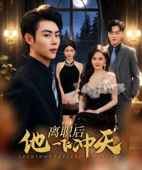 离职后他一飞冲天（80集全）肖智夫＆李姿伟-初遇资源网