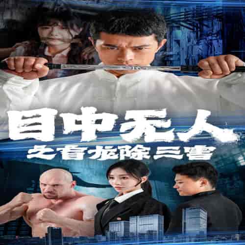 目中无人之盲龙除三害(65集)-初遇资源网