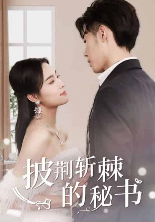 披荆斩棘的秘书（75集全）乔屿舟＆姜九笙-初遇资源网