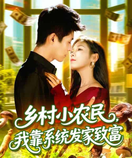 乡村小农民，我靠系统发家致富 （100集全） 朱佳琪＆韩雨轩-初遇资源网