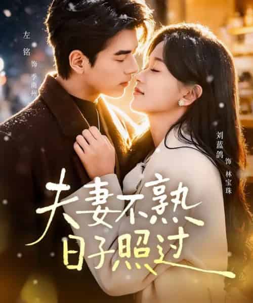 夫妻不熟，日子照过（80集全）左铭＆刘蓝鸽-初遇资源网