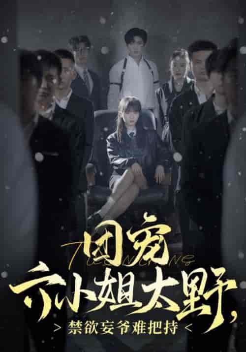 团宠六小姐太野，禁欲妄爷难把持（90集全）张北淅-初遇资源网