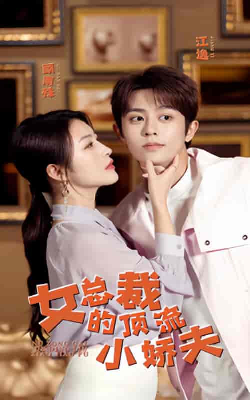 女总裁的顶流小娇夫(101集)-初遇资源网