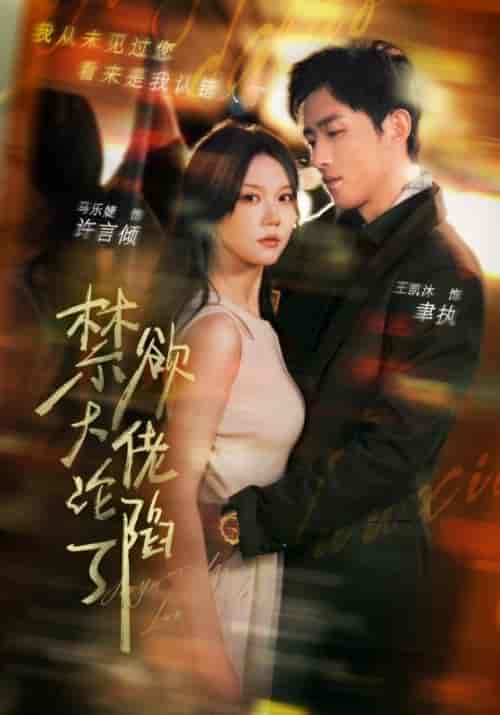 禁欲大佬沦陷了（106集全）聿执＆许言倾-初遇资源网