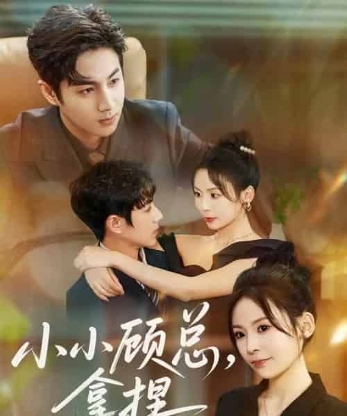 小小顾总拿捏（82集全）谷聿扬＆田珍-初遇资源网