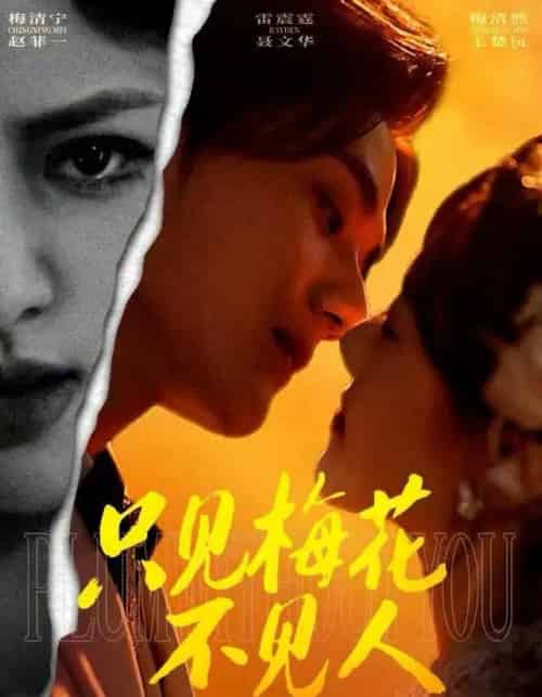 只见梅花不见人＆梅花落尽时（63集全）聂文华＆王楚沅-初遇资源网
