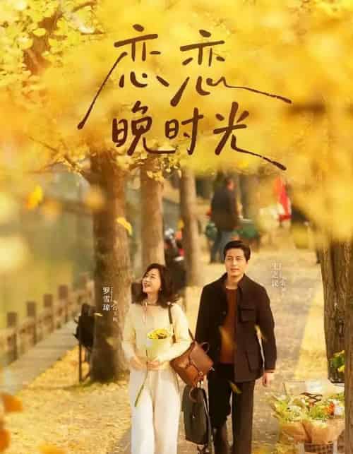 恋恋晚时光（70集全）王之民＆罗雪琼-初遇资源网