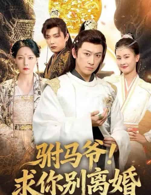 驸马爷！求你别离婚（80集全）马东辰＆千歆-初遇资源网