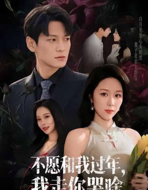 不愿和我过年，我走你哭啥（74集全）肖涵＆钟莹玲-初遇资源网