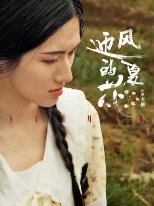 迎风的夏花(100集全)傅寒川&乔夏-初遇资源网