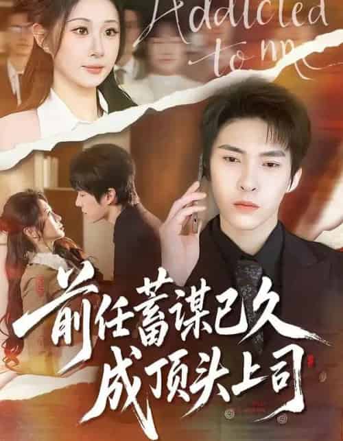 前任蓄谋已久成顶头上司（70集全）魏家乐＆张禹麟-初遇资源网