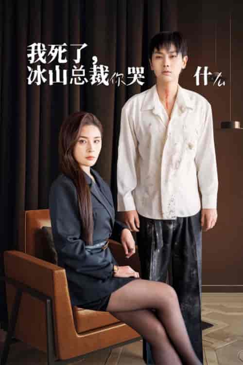 我死了冰山总裁你哭什么（30集全）-初遇资源网