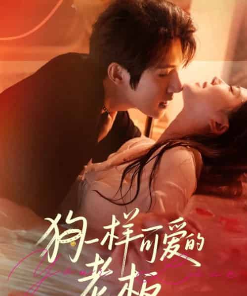 狗一样可爱的老板(63集全)朱一未&白昕怡-初遇资源网