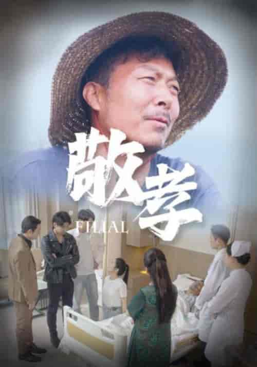 敬孝（61集）王燕-初遇资源网