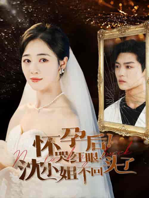 怀孕后哭红眼沈小姐不回头了（64集全）-初遇资源网