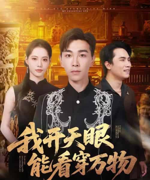 我开天眼能看穿万物(80集全)胡程耀&董洁-初遇资源网