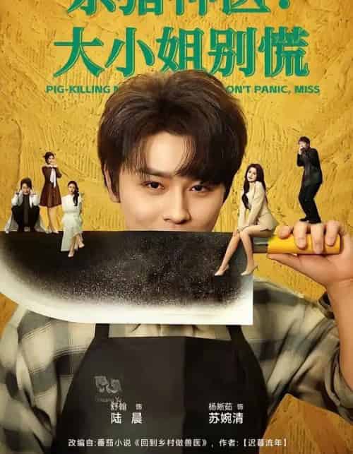 杀猪神医，大小姐别慌（80集全）舒瀚＆杨晰茹-初遇资源网