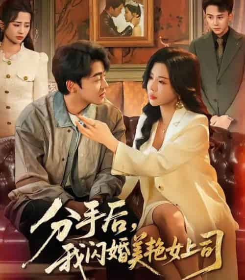 分手后，我闪婚美艳女上司（62集全）涂蕊＆王鑫源-初遇资源网