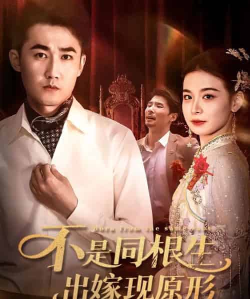 不是同根生出嫁现原形（60集）-初遇资源网