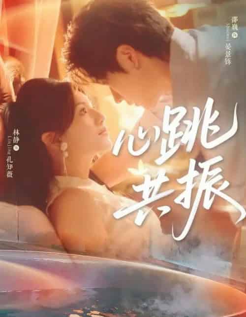 心跳共振(60集全)邵巍&林静-初遇资源网