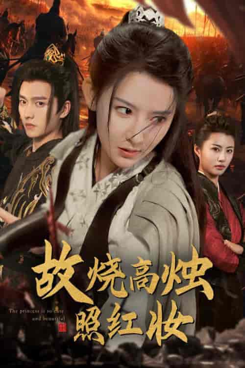 故烧高烛照红妆(62集全)秦天爱-初遇资源网