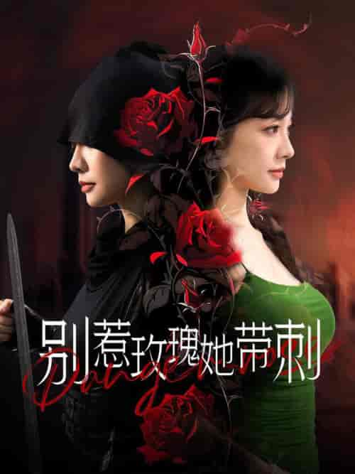 别惹玫瑰她带刺(100集全)-初遇资源网