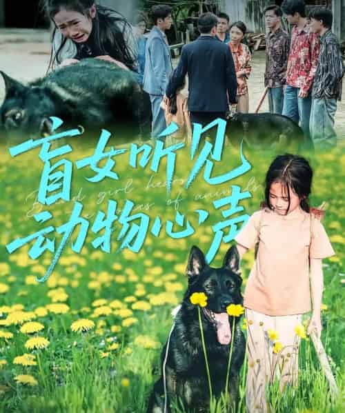 盲女听见动物心声（61集）-初遇资源网