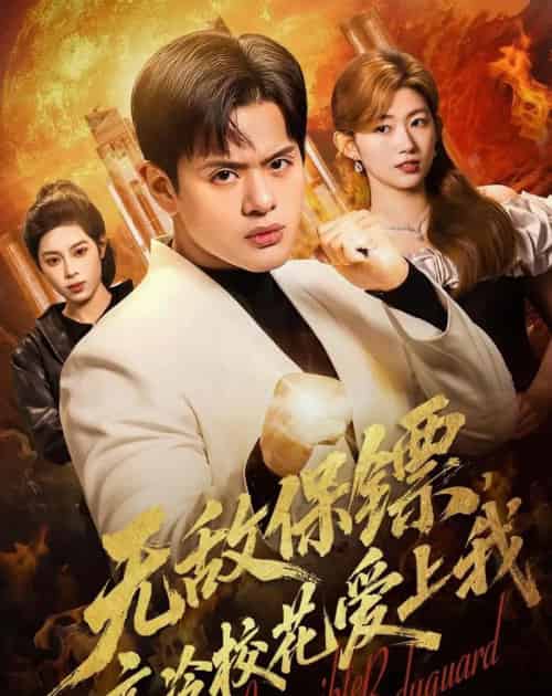 无敌保镖，高冷校花爱上我（66集全）沈驰＆崔丰美慧-初遇资源网