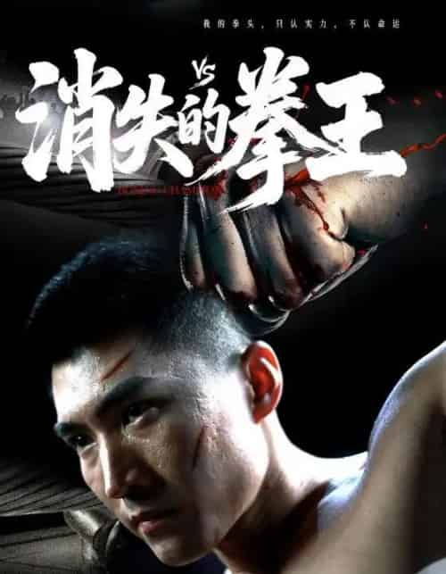 消失的拳王（72集）-初遇资源网