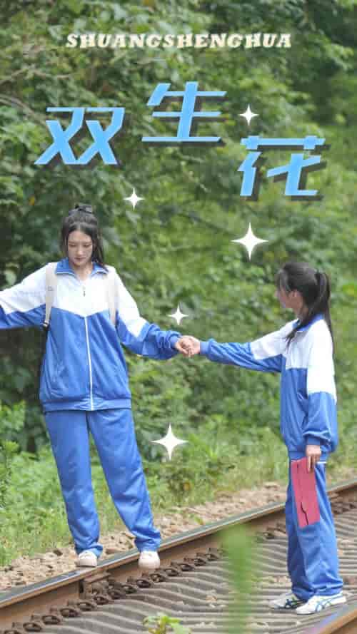 双生花(36集)-初遇资源网