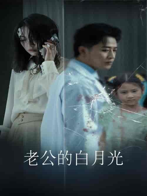 老公的白月光（30集）-初遇资源网