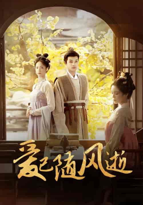 爱已随风逝（45集全）顾云峥＆沈凝-初遇资源网