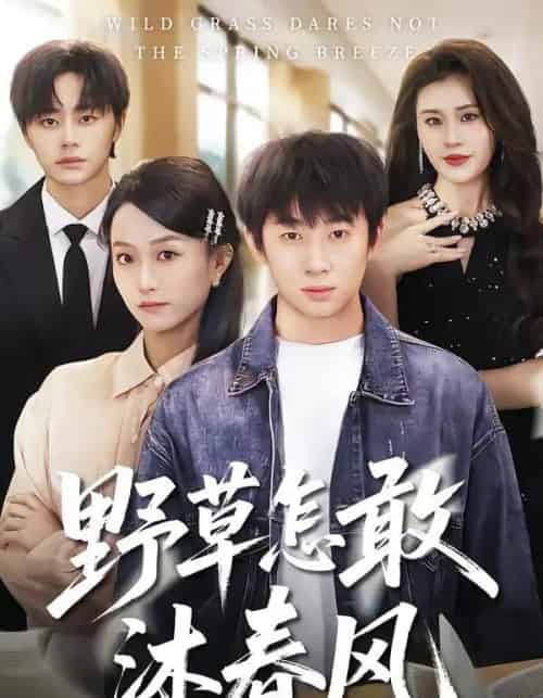 野草怎敢沐春风（61集全）王楚＆周瑾阳-初遇资源网