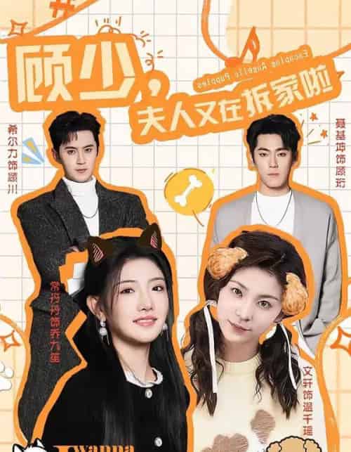 顾少,夫人又在拆家啦(78集全)希尔力&常丹丹-初遇资源网