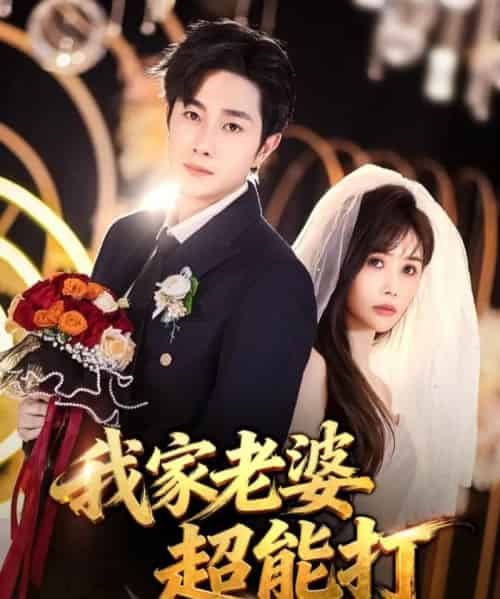 我家老婆超能打（60集全）王新颖＆杨皓竣-初遇资源网