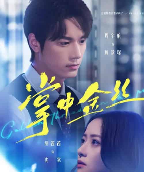 掌中金丝&长姐她竟是隐藏大佬(60集全)周宇航&胡茜茜-初遇资源网