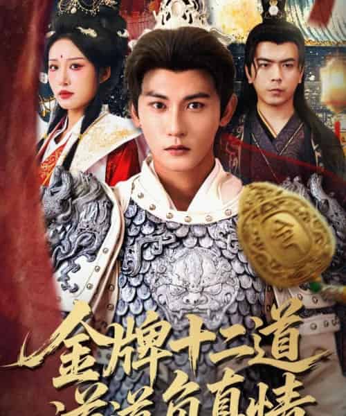 金牌十二道道道负真情（70集全）宋楠＆孙虎城-初遇资源网