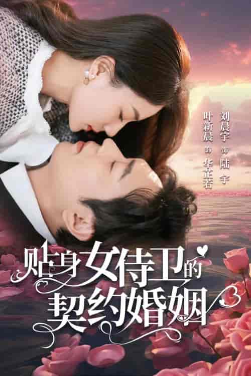 贴身女侍卫的契约婚姻（91集）-初遇资源网