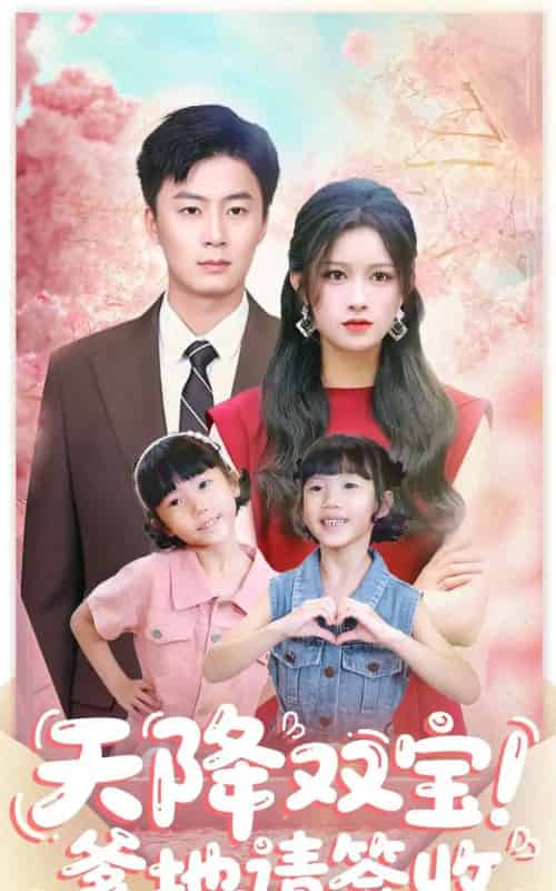 天降双宝爹地请签收(84集全)戴金麟&赵慧-初遇资源网