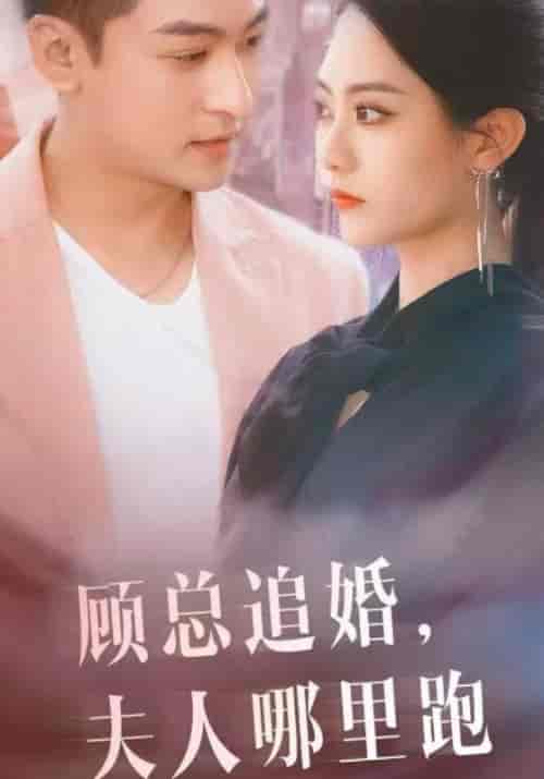 顾总追婚，夫人哪里逃（100集全）顾言洛＆林雅南-初遇资源网