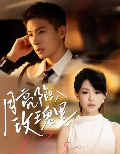 月亮陷入玫瑰里（60集全）邹盛文＆黄子珺-初遇资源网