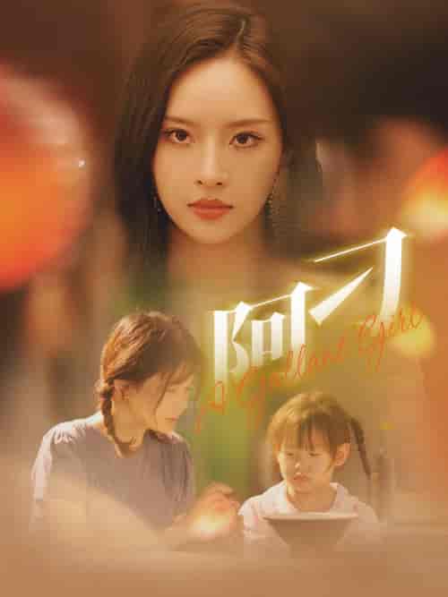 阿刁(65集)-初遇资源网