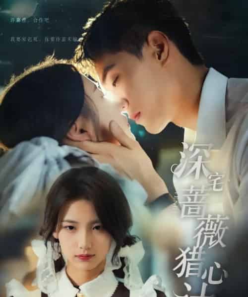 深宅蔷薇猎心计（66集）万林洲＆王昕瑶-初遇资源网