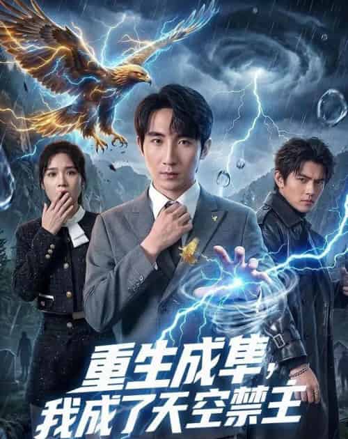 重生成隼，我成了天空禁主（68集全）刘飞＆思雨 - 夸克短剧