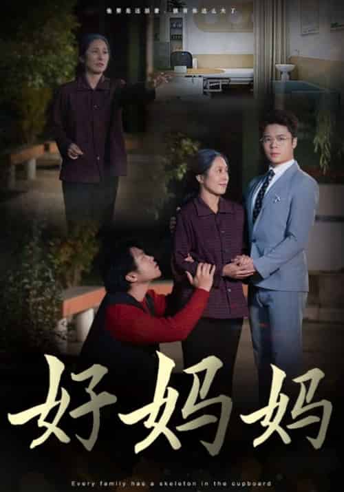 好妈妈(30集全)陈永强&白素琴-初遇资源网