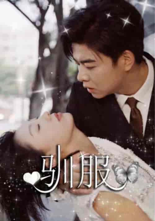 驯服（100集全）陆景霄＆叶心音-初遇资源网