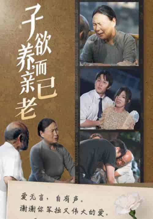 子欲养，而亲已老（58集全）庄天赐＆宋暖-初遇资源网