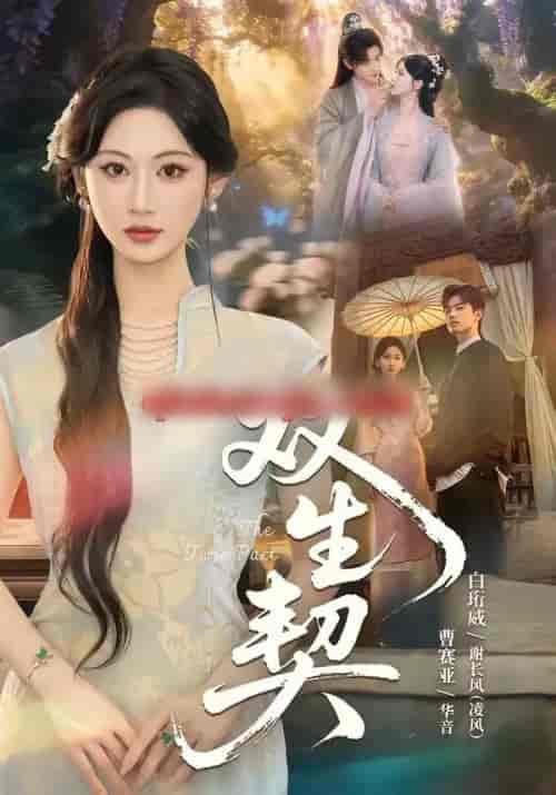 双|生契 双|生契